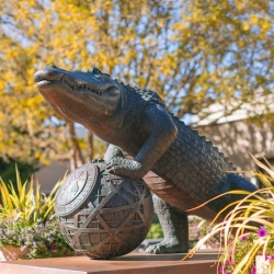 SFSU Gator statue on campus with yellow leaves in background