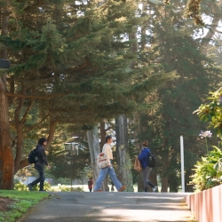 Students walking under trees on campus